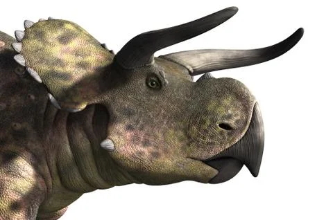 Nasutoceratops Portrait Stock Illustration