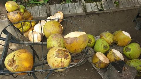 Nata de coco coconut fruit fresh from nature and coconut water Stock Photos