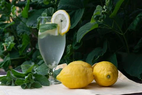 Natallia Stock Photos