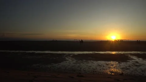 Nathon1 Video stock 202073487