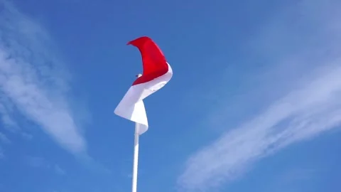 Nation Flag Stock Footage 293295204