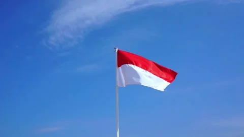 Nation Flag Stock Footage 293295214