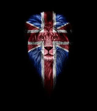 National animal of Great Britain. Portrait of a Beautiful lion, faceart and p Stock Photos