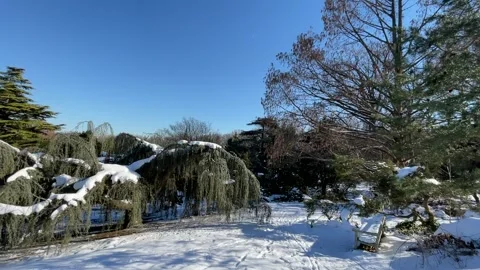 National Arboretum Stock Footage 245489021