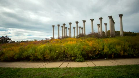 National Arboretum Timelapse Video stock 143471053