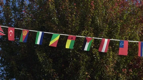 National banner flags flutter gently with autumn foliage in background Stock Footage 324944180