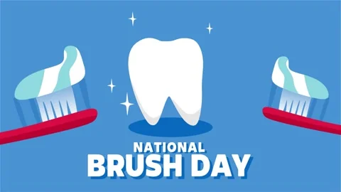 National Brush Day Stock Footage 306993517