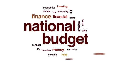 National budget animated word cloud, text design animation. Stock Footage 74823656