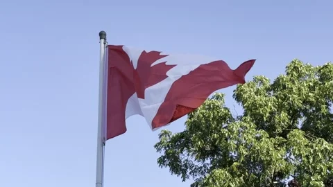 National canada flag on pole Stock Footage 257682043