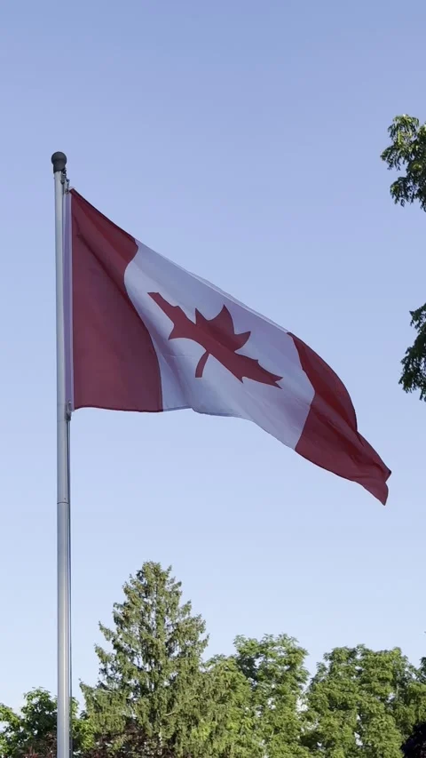 National canada flag on pole Stock Footage 266459780