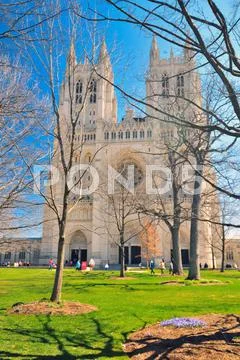 National cathedral washington dc - april 5, 2013 Stock Photos