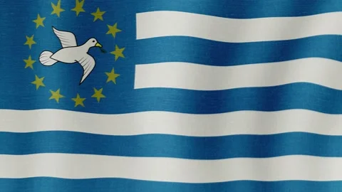 The national flag of Amazonia Видео 200132399