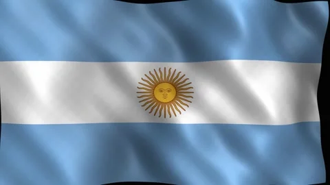 National flag of argentina waving with sun of may emblem. 4K Video stock 344046856