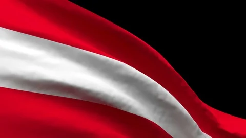 The national flag of Austria flutters in the wind Stock Footage 125843509