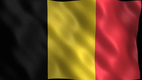 National flag of belgium waving in the wind. 4K Video stock 344046886