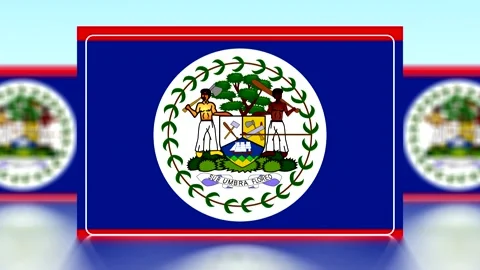National flag of Belize featuring the central coat of arms on a blue backgr.. Video stock 343648142
