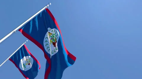 The national flag of Belize is flying in the wind against a blue sky Stock Footage 136452957
