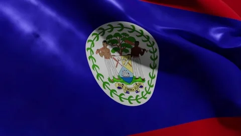 NATIONAL FLAG OF BELIZE Stock Footage 194294938
