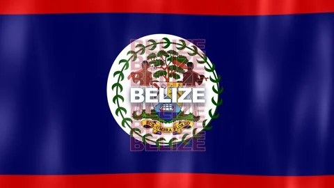 National Flag - Belize Stock Footage 346332912