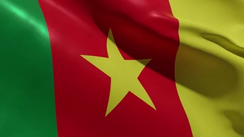 NATIONAL FLAG OF CAMEROON Stock Footage 178485954