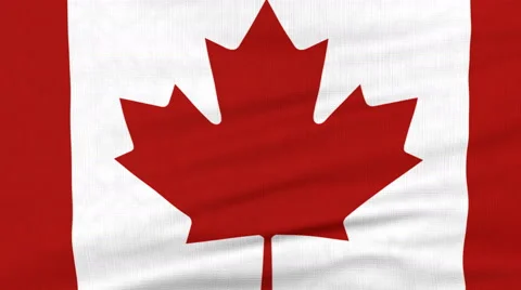 National flag of Canada flying on the wind Video stock 65759569