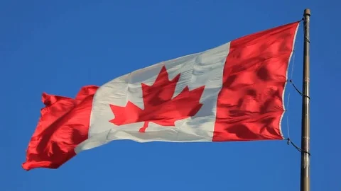 National flag of Canada 库存影片 81572342