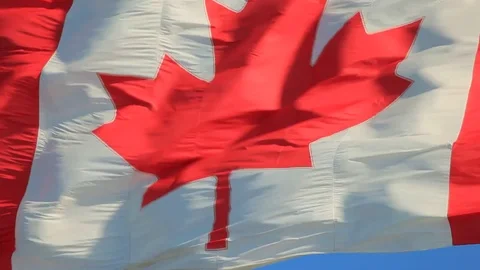 National flag of Canada Видео 81572525