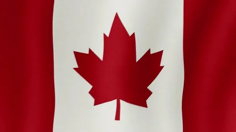 The national flag of Canada Stock Footage 172263964