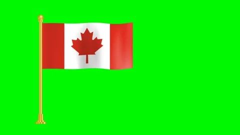 National flag of canada Stock Footage 198031503