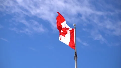 The National Flag of Canada  Stock Footage 236941050