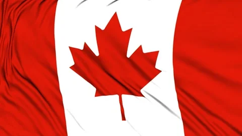 National Flag of Canada. Seamless  flag  of Canada waving in the wind Stock Footage 307697143
