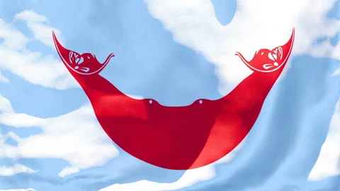 The national flag of Easter Island flutters in the wind Stock Footage 133394652