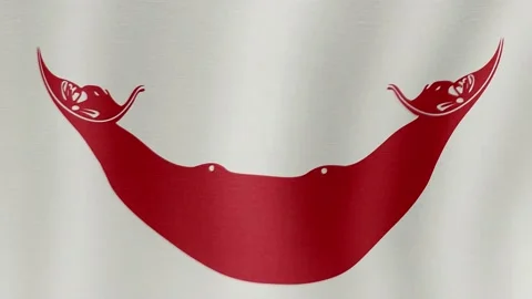 The national flag of Easter Island Видео 202266491