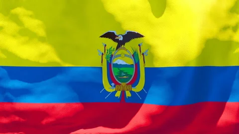 The national flag of Ecuador flutters in the wind Stock Footage 133303984
