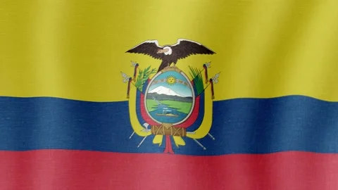 The national flag of Ecuador Stock Footage 204927792