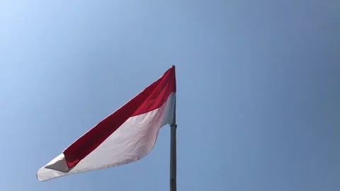 National flag. Stock Footage 247482514