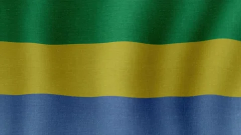 The national flag of Gabon Видео 200837005