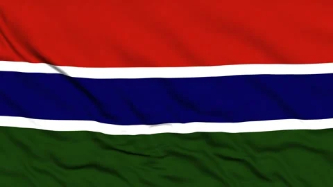 National flag of Gambia. Seamless flag Gambia waving in the wind Stock Footage 307702353