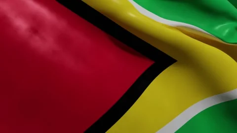 NATIONAL FLAG OF GUYANA Stock Footage 187556737