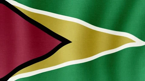 The national flag of Guyana Stock Footage 197328003