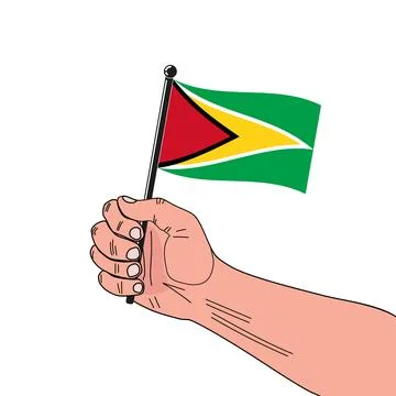 National flag of Guyana Stock Illustration