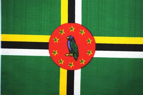 National flag Stock Illustration