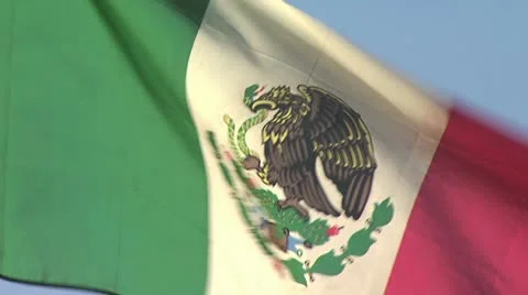 National Flag of Mexico Stock-Footage 19231851