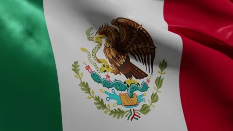 NATIONAL FLAG OF MEXICO Stock Footage 178485953