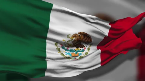 The National Flag of Mexico Stock Footage 328707872