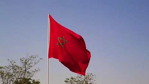 The national flag of Morocco waving in the wind on a clear day Stock Footage 201219955