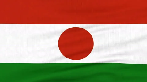 National flag of Niger flying on the wind Stock-Footage 65792707