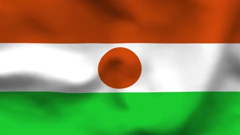 National flag of Niger on wavy cloth. Features orange, white, and green horiz Stock Footage 335523853