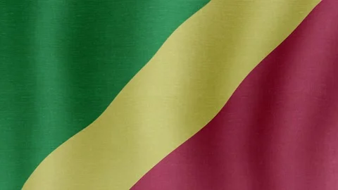 The national flag Republic of the Congo Stock Footage 203336505