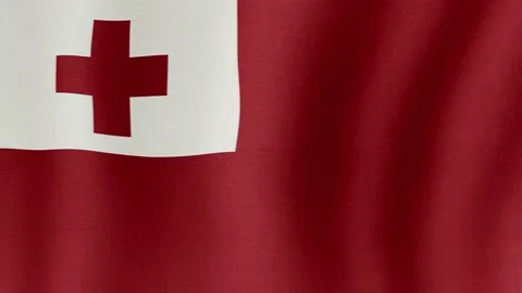 The national flag of Tonga Video stock 197892599